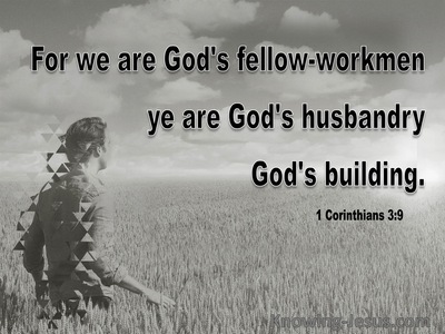 1 Corinthians 3:9 We Are Gods Building (gray)